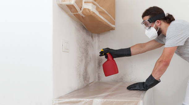 Professional Basement Mold Removal technician working in Hazlet, NJ